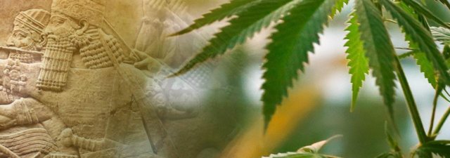 6 Historical Uses of Hemp