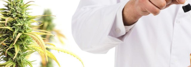 How to Maximize the Health Benefits of CBD [Answered]