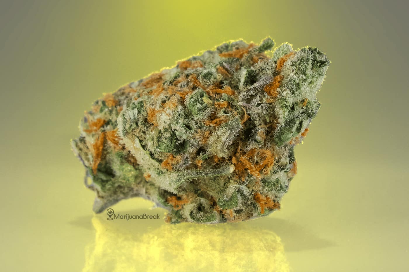 super lemon haze cannabis strain