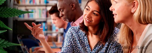 Best Online Cannabis Schools and Colleges [Updated for 2022]