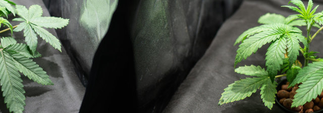 How to Make a Marijuana Grow Tent for Just $2… [Say WHAT!?]