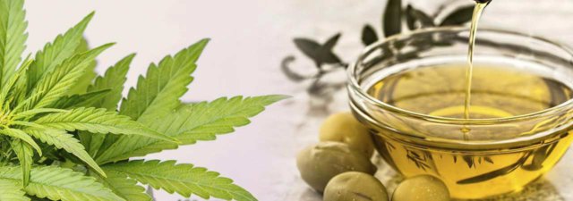 How to Infuse Olive Oil with CBD