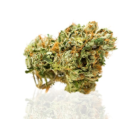 Purple Trainwreck Cannabis Strain Review