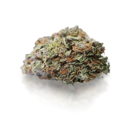 Critical Mass | Marijuana Strain Review