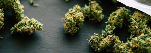 What Is “Mids” Weed? [Explained for the Cannabis Rookie]