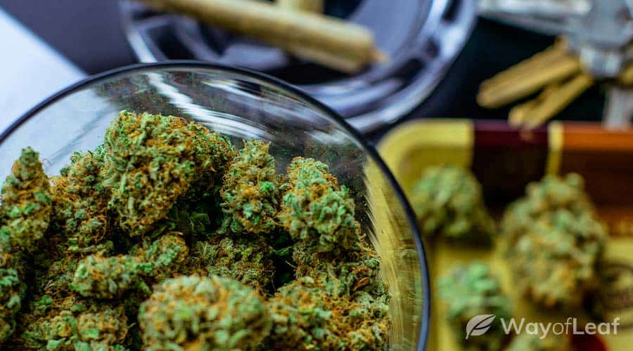 5-hacks-to-increase-thc-4