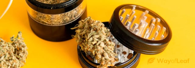 How to Make THC Milk and Clean Your Grinder Simultaneously!