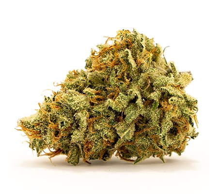 Royal Haze | Updated Marijuana Strain Review