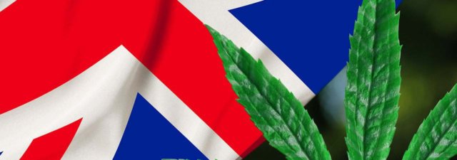 What Is the Cannabis Trades Association UK?