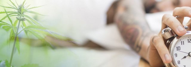 The 5 Perfect Strains to Wake and Bake To