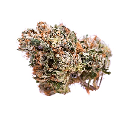 Superglue | Updated Marijuana Strain Review