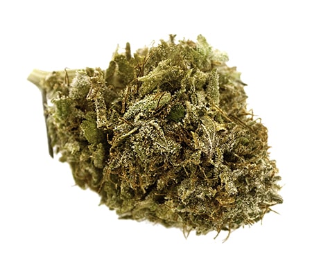 Northern Lights (Updated Strain Review)