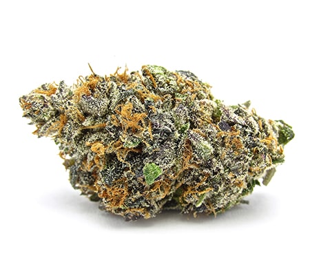 Gelato Cannabis Strain Review [Sweet as Candy]