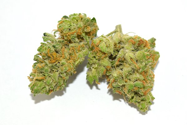 island sweet skunk