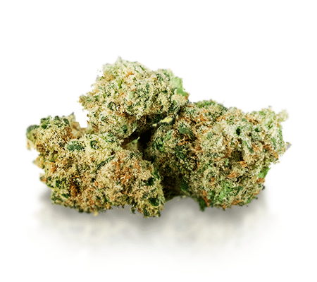 Banana Kush Marijuana Strain: The Complete WOL Review