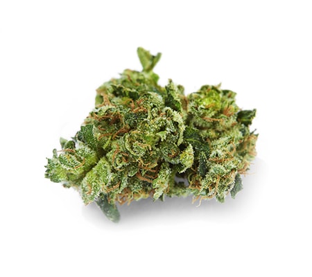 G13 Marijuana Strain Review + Guide