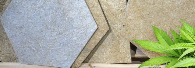 The Futuristic World of Hemp Biocomposites