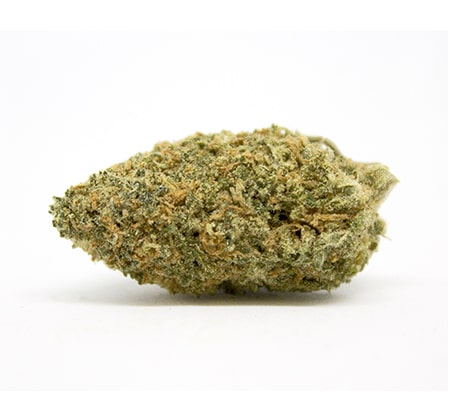 Sensi Star: Updated Marijuana Strain Review