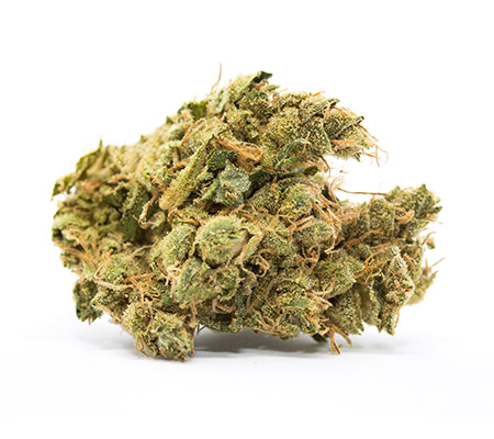 Stevie Wonder (Cannabis Strain Review)