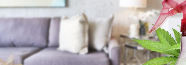 Why You Can’t Diffuse Cannabis Oil in Your Home