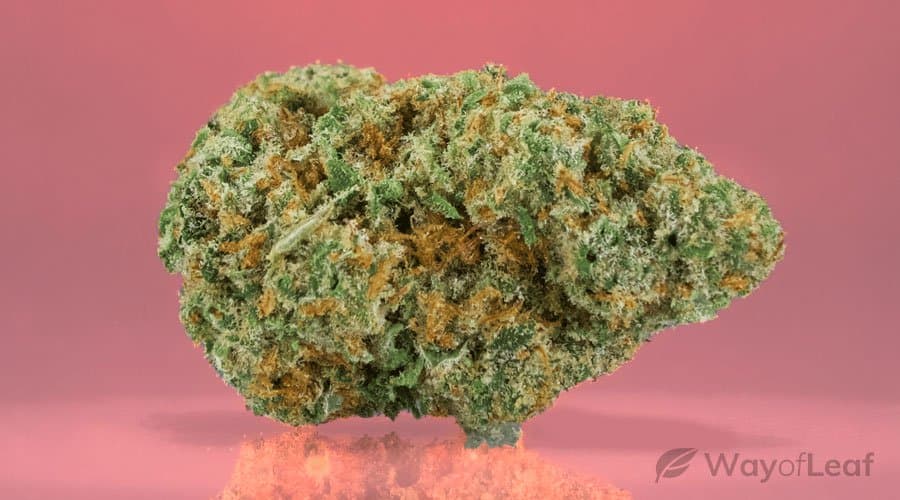 acdc-despite-the-name-expect-calm-relief