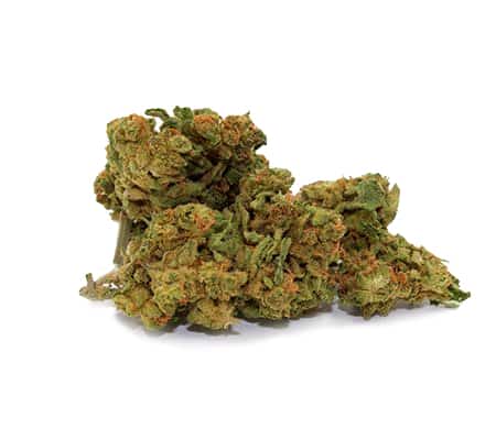 OG Kush Strain | The NEW Review OG Kush Strain | The NEW Review