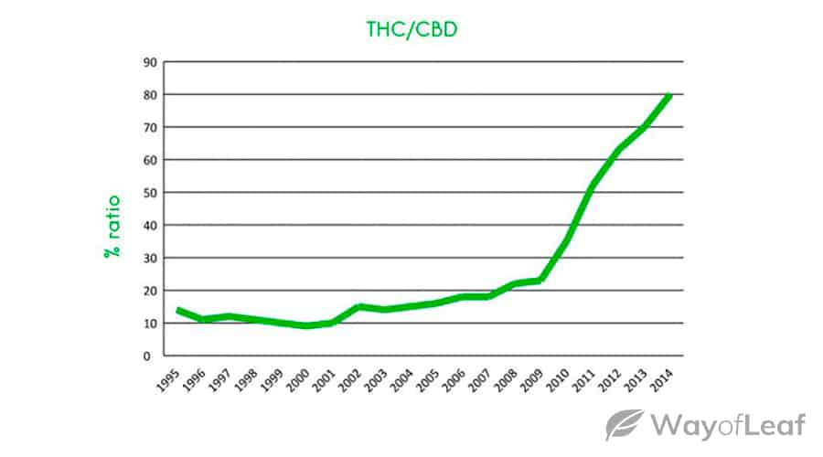 average-thc-strength-over-time-1