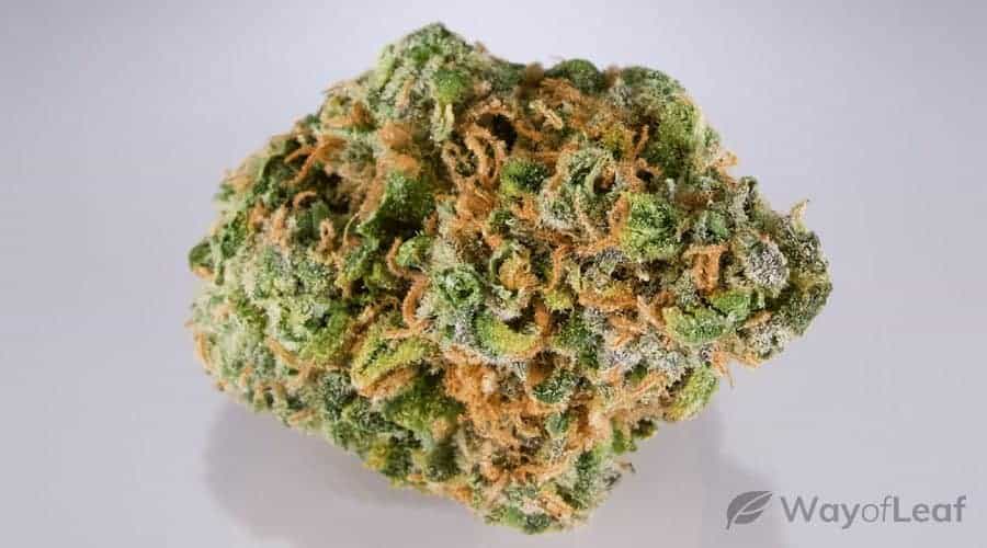 classic-weed-strains