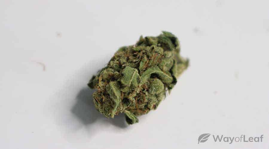 classic-marijuana-strains