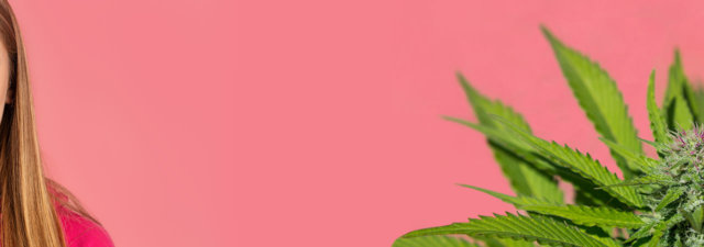 8 Tips for Growing Bubble Gum Marijuana [Grower’s Guide]