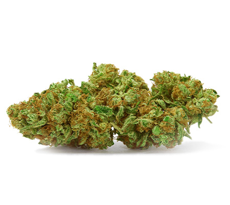 Sour Tsunami | Marijuana Strain Review Sour Tsunami | Marijuana Strain Review