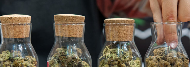 How Long Can You Store Weed Before It Gets Moldy? [Answered]