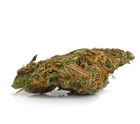 Wedding Crasher Marijuana Strain | Review + Guide Wedding Crasher Marijuana Strain | Review + Guide