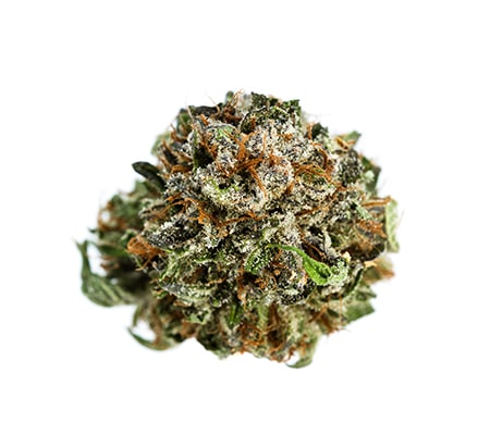 LSD Marijuana Strain Review
