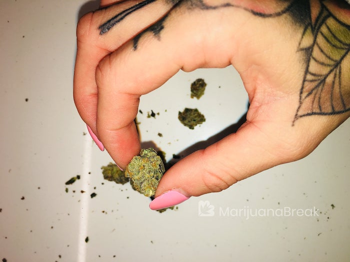 black jack marijuana