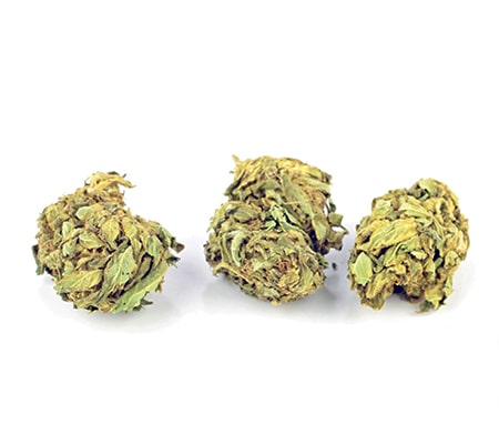 Agent Orange | Cannabis Strain Review