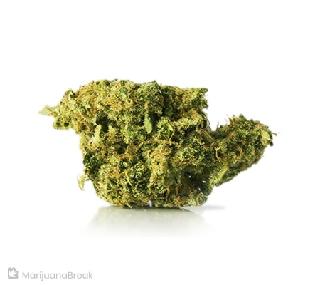 Green Ribbon Strain (Cannabis Strain Review)