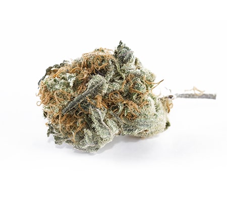 Monster Cookies Marijuana Strain: The Full Review