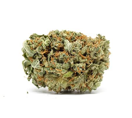 Wonder Kid | Weed Strain Review