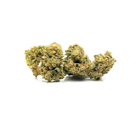 J1 Marijuana Strain Review J1 Marijuana Strain Review