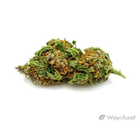 Cinex Marijuana Strain Review