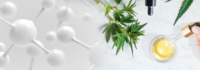 CBD Nanotechnology: Is It a Real Thing?
