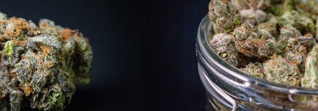 How to Make Those Nugs Last [And Conserve Your Weed!]