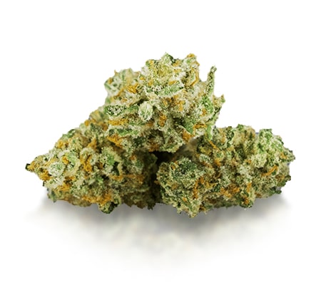 Ghost Train Haze Marijuana Strain [Complete Review]