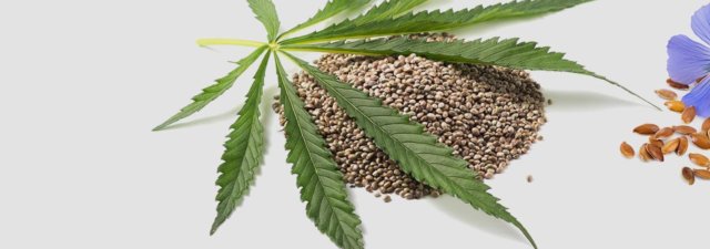 Hemp vs. Flax: Battle of the Seeds
