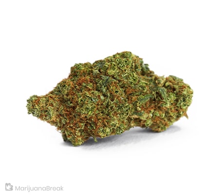 Alien OG Cannabis Strain Review [Benefits, Origins, Potency]