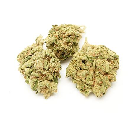 Alien OG Cannabis Strain Review [Benefits, Origins, Potency]