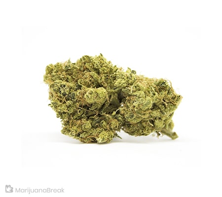 Banana OG Cannabis Strain [Origins, Benefits, Grow Info]