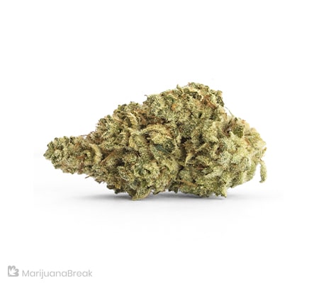 Blue Dragon – Cannabis Strain Review