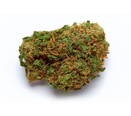 Herijuana (Cannabis Strain Review)